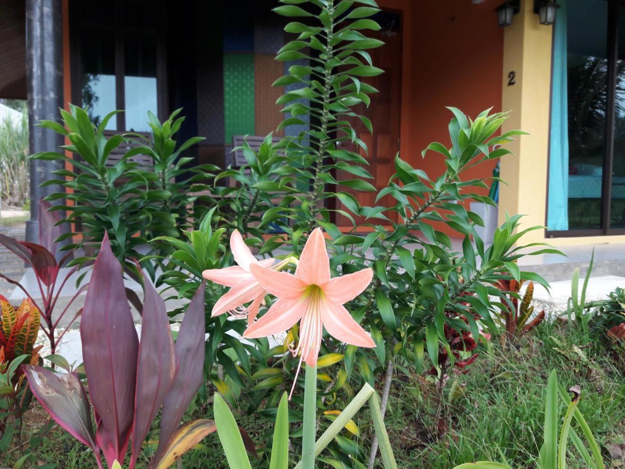 Raintree Bangsak Villa Khao Lak Ngoại thất bức ảnh